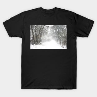 Winter Whiteout T-Shirt